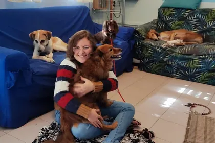 כלבים מתארחים בפנסיון הביתי של גילי וייסבאום